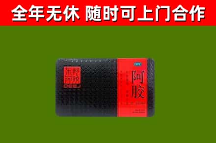 文山州回收阿胶